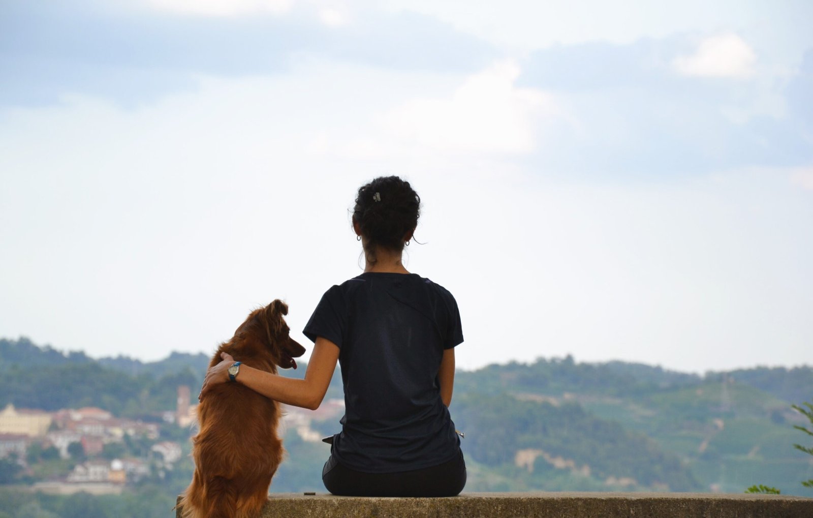 Scopri di più sull'articolo Blog